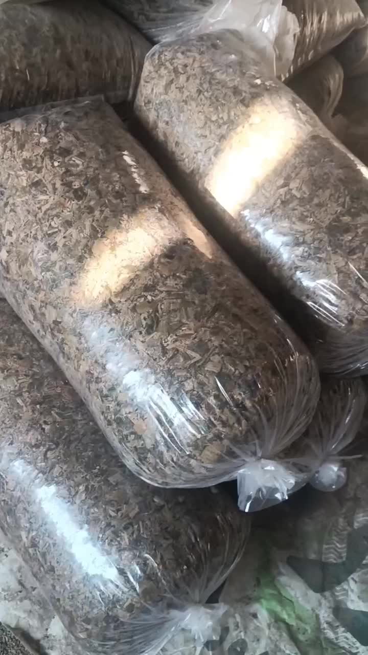 باسلام ذرت دامی پردان مناسب گاوداری|عمدهفروشی|اقبالیه, |دیوار