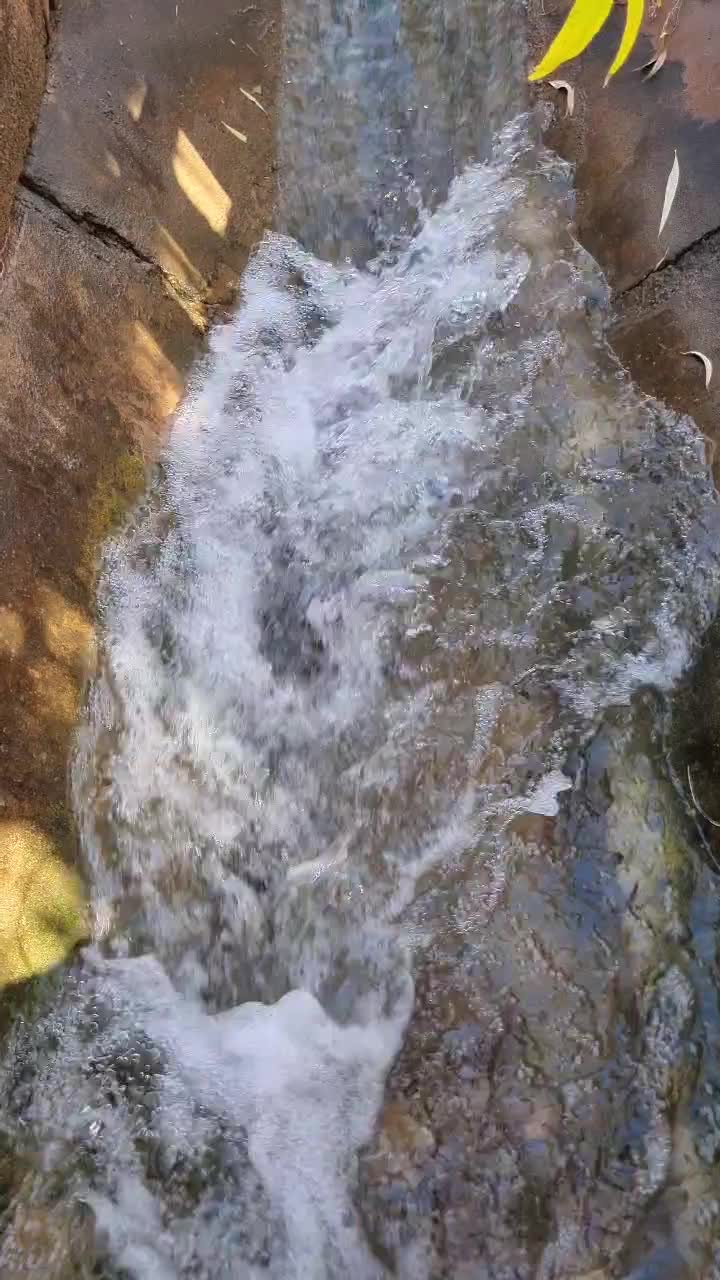 باغ ویلا فول امکانات،حاشیه جاده زیبای  دشت|فروش دفتر صنعتی، کشاورزی، تجاری|نیشابور, فضل|دیوار