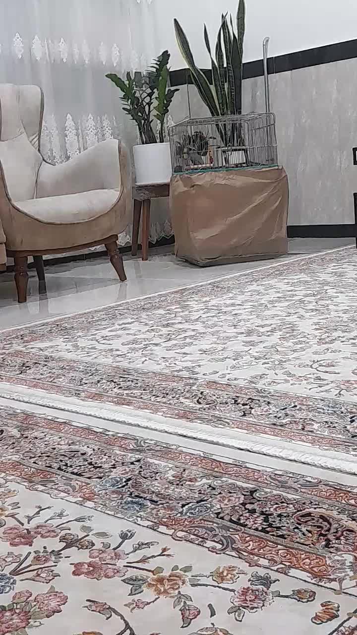 عروس هلندی همراه با قفس|پرنده|کامیاران, |دیوار