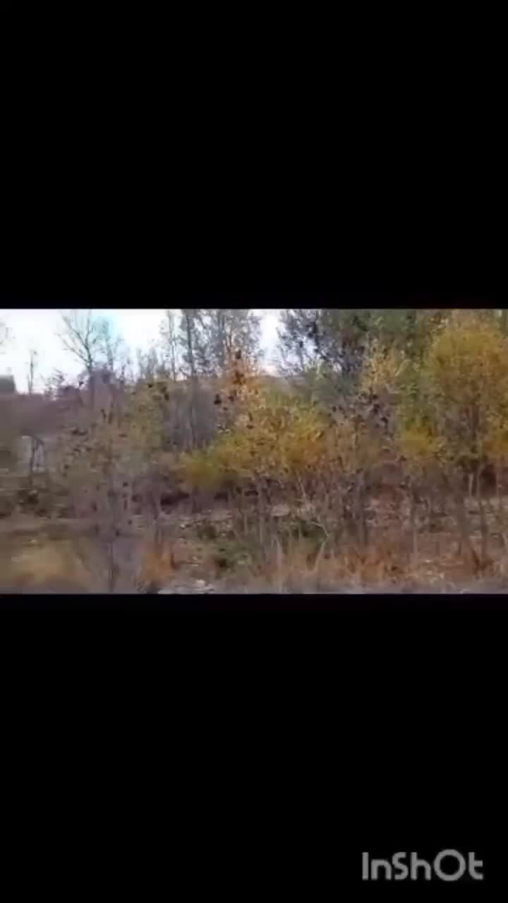 اجاره باغ ویلایی سرسبز نزدیک سپیدان ،روزانه|اجارهٔ کوتاه‌مدت ویلا و باغ|سپیدان, |دیوار