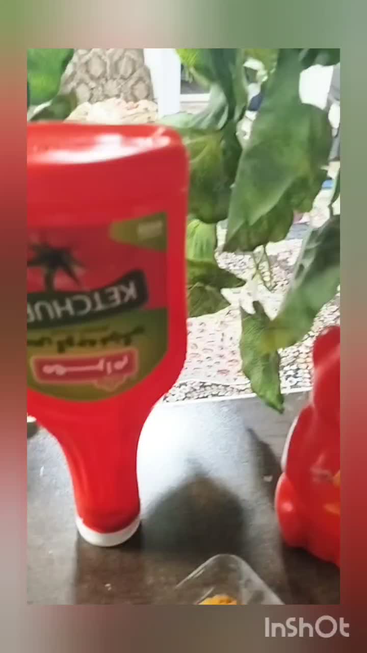 فلافل خانگی خوش عطر جنوب|خوردنی و آشامیدنی|مشهد, کوشش|دیوار