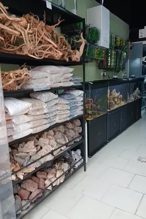 ماهی آکواریوم و لوازم|ماهی|صدرا-فارس, فاز ۱|دیوار