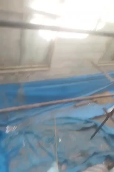 اجاره تخته بنایی بشکه نردبان داربست چهار پایه چرخد|خدمات پیشه و مهارت|تهران, شادآباد|دیوار