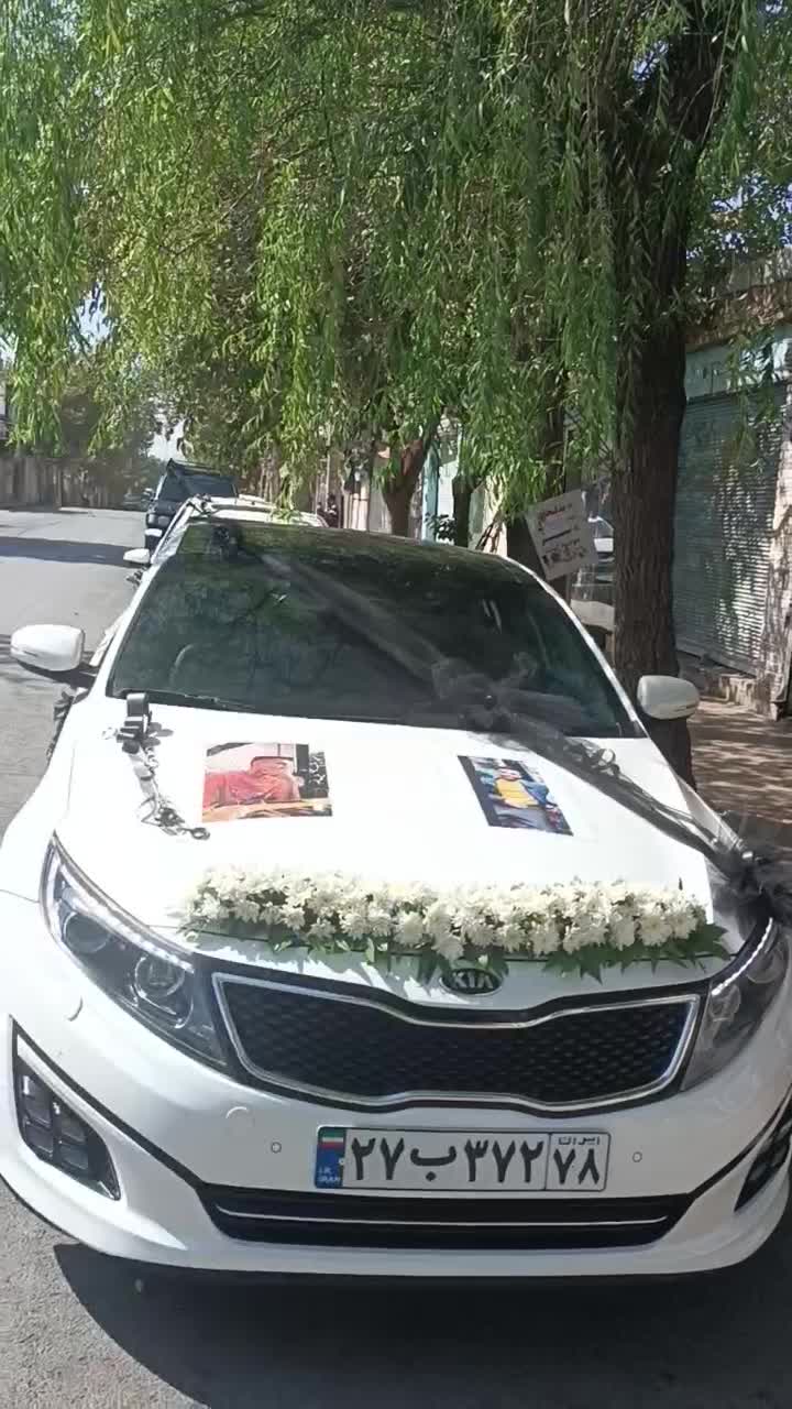 گلسرای محتشم سفارشات پذیرفته میشود|گل و گیاه طبیعی|کوهدشت, |دیوار