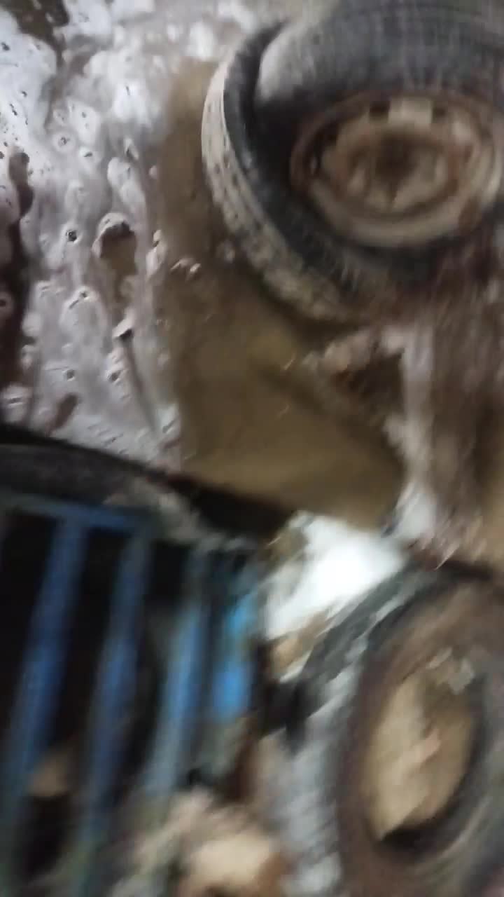 قالیشویی تمام اتوماتیک ماهر|خدمات نظافت|سوسنگرد, |دیوار