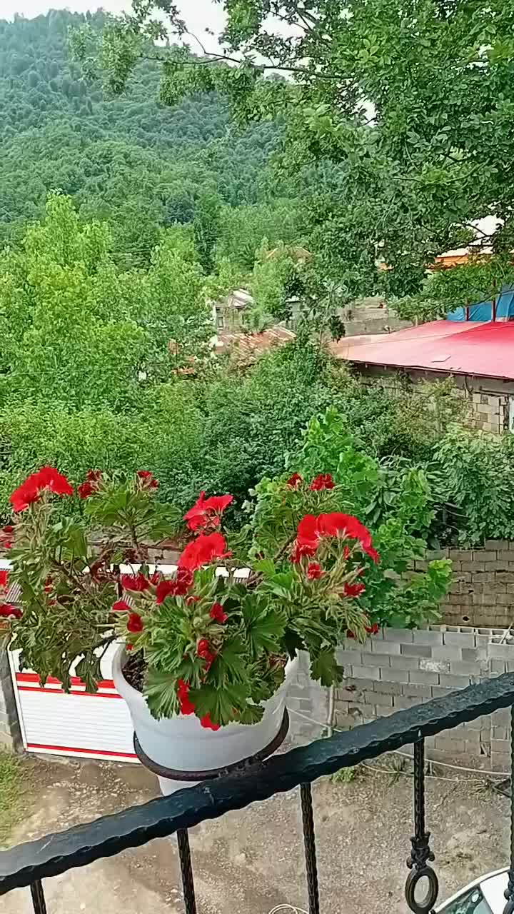 اجاره خانه ویلایی ۲۰۰ متری ۲ خوابه|اجارهٔ خانه و ویلا|ماسال, |دیوار