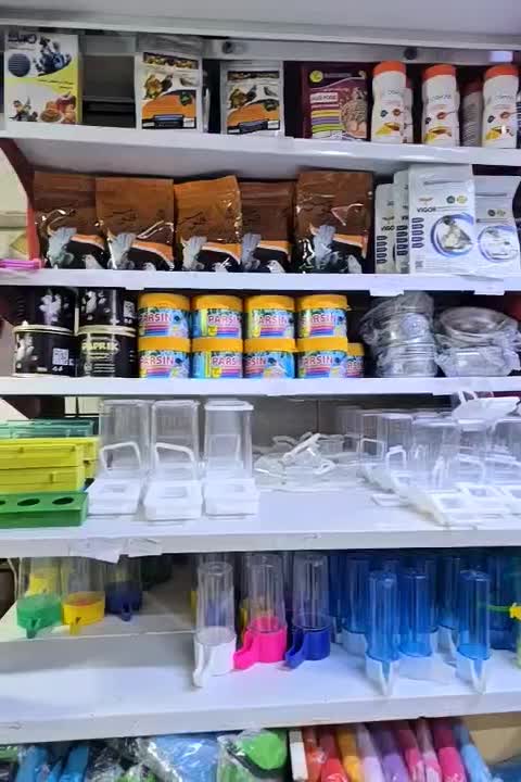 خرید و فروش گرینچیک|پرنده|نیشابور, فردوسی جنوبی|دیوار