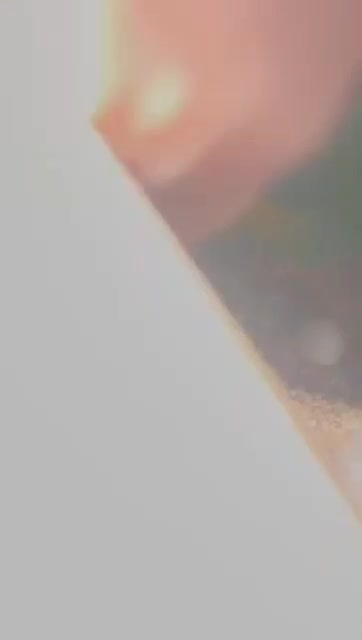 فروش گرینچیک یا گیرینچیک|پرنده|هشتگرد, شهرک بعثت|دیوار