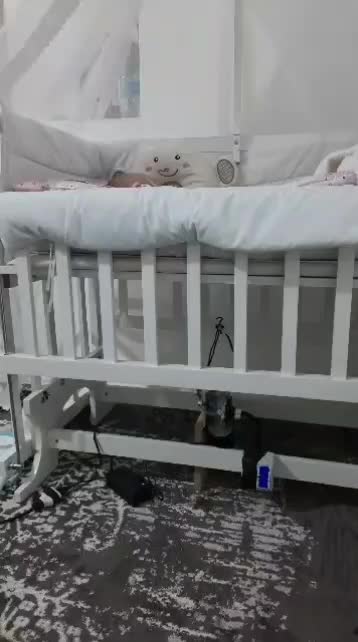 تخت گهواره|تخت و صندلی بچه|پرند, فاز ۲|دیوار