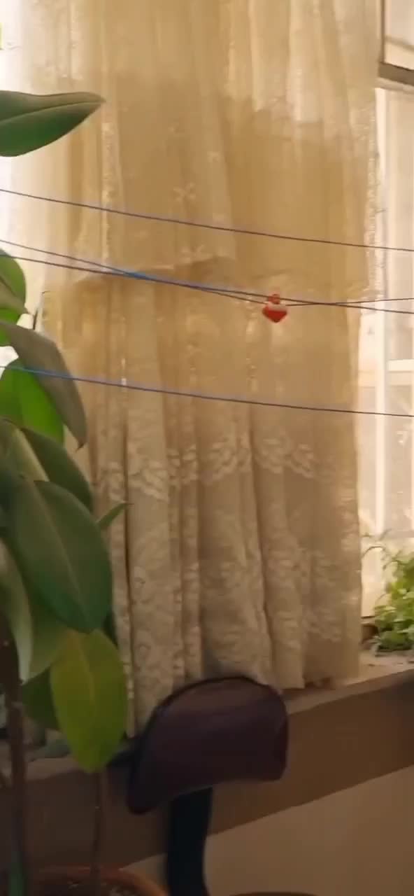 آپارتمان ۱۱۰ متری/چهارراه مخابرات/بازسازی|فروش آپارتمان|مشهد, استاد یوسفی (شهرک غرب)|دیوار