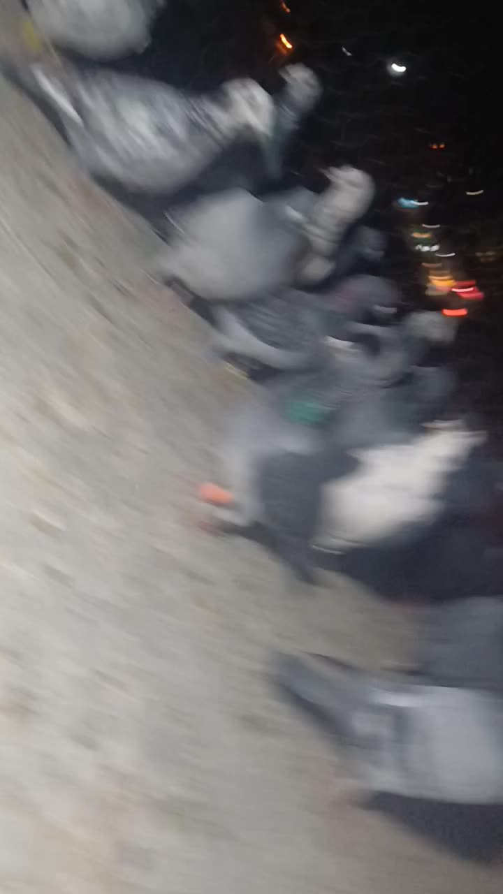 ۱۸ تا حیون یاغی شب وروز ندارن تو پرش|پرنده|شیراز, حومه شیراز|دیوار