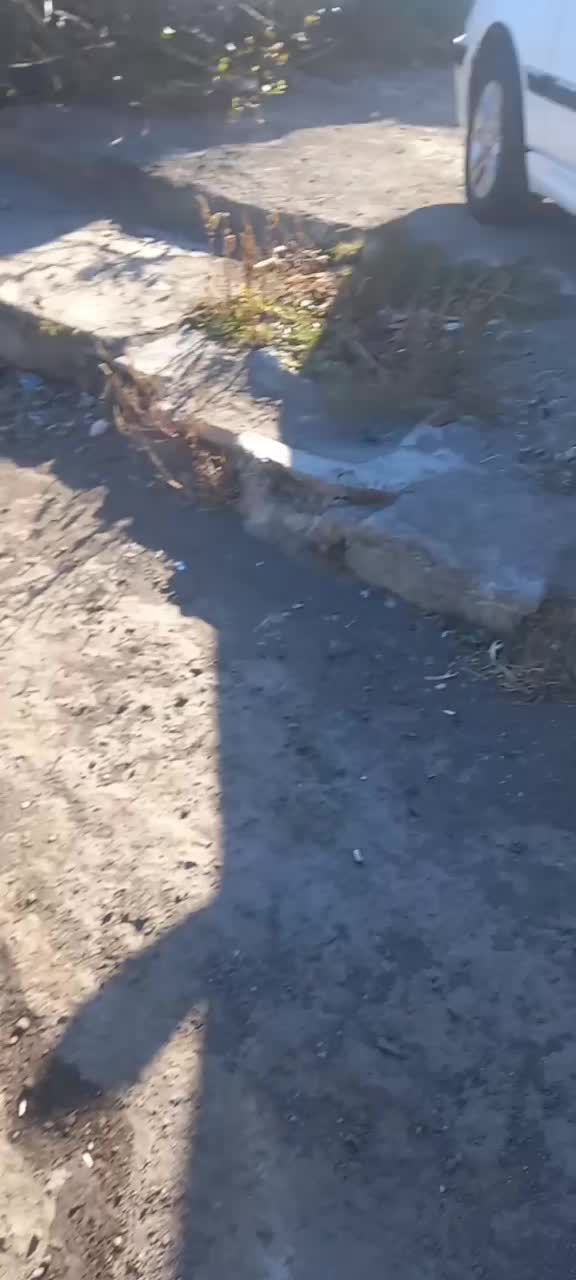 فروش خودرو پارس ۴۰۱|خودرو سواری و وانت|آستارا, |دیوار