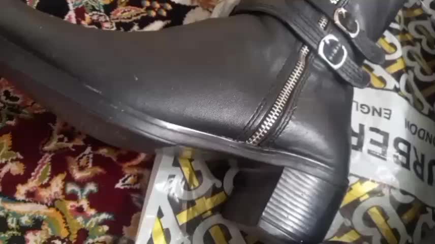 پوتین|کیف، کفش، کمربند|تهران, امام زاده عبدالله|دیوار