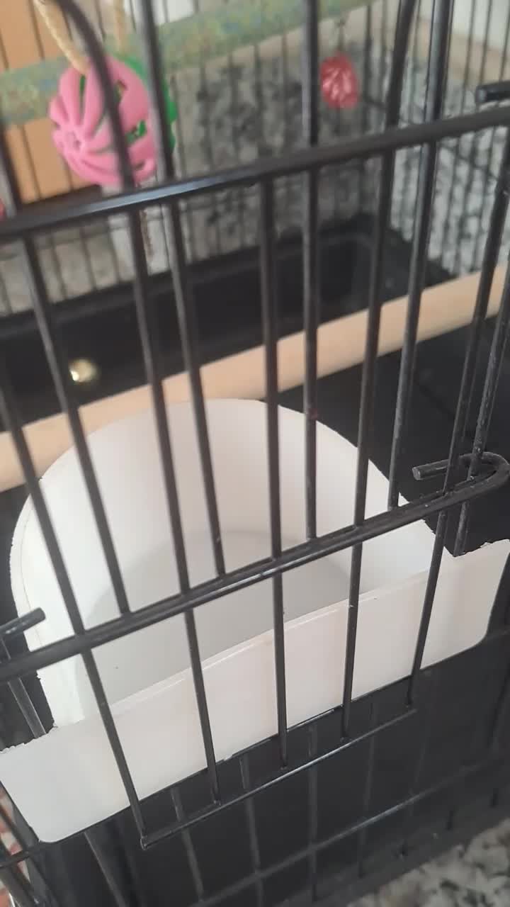 قفس پرنده|لوازم جانبی حیوانات|ارومیه, |دیوار