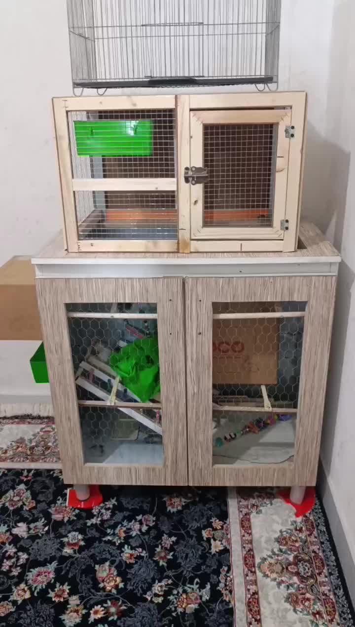 قفس|لوازم جانبی حیوانات|کرج, خرمدشت|دیوار