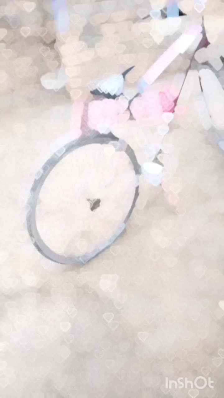 دوچرخه|دوچرخه، اسکیت، اسکوتر|ایجرود, |دیوار