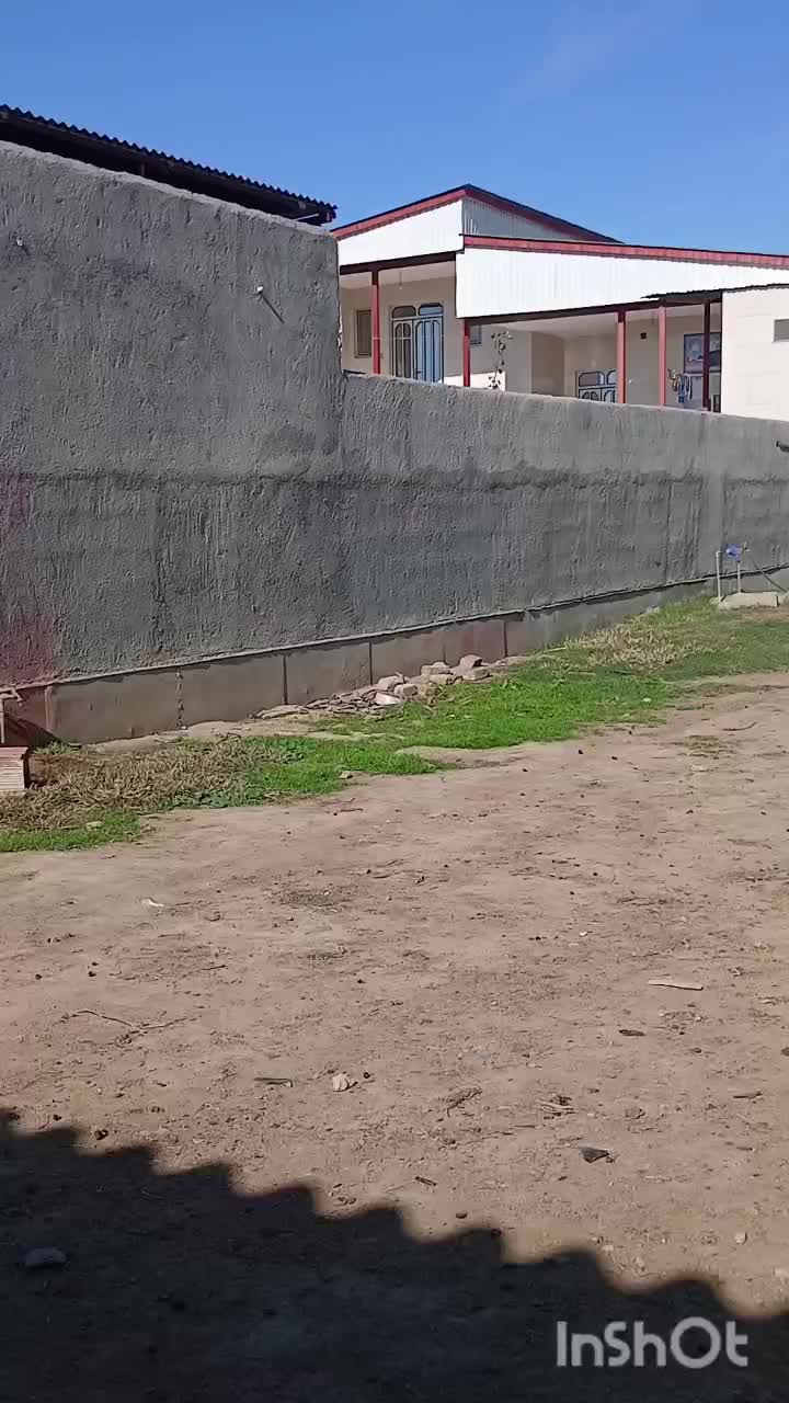 سلام 1عدد گوسفند توقلی قوچ درجه یک|حیوانات مزرعه|سیمین شهر, |دیوار