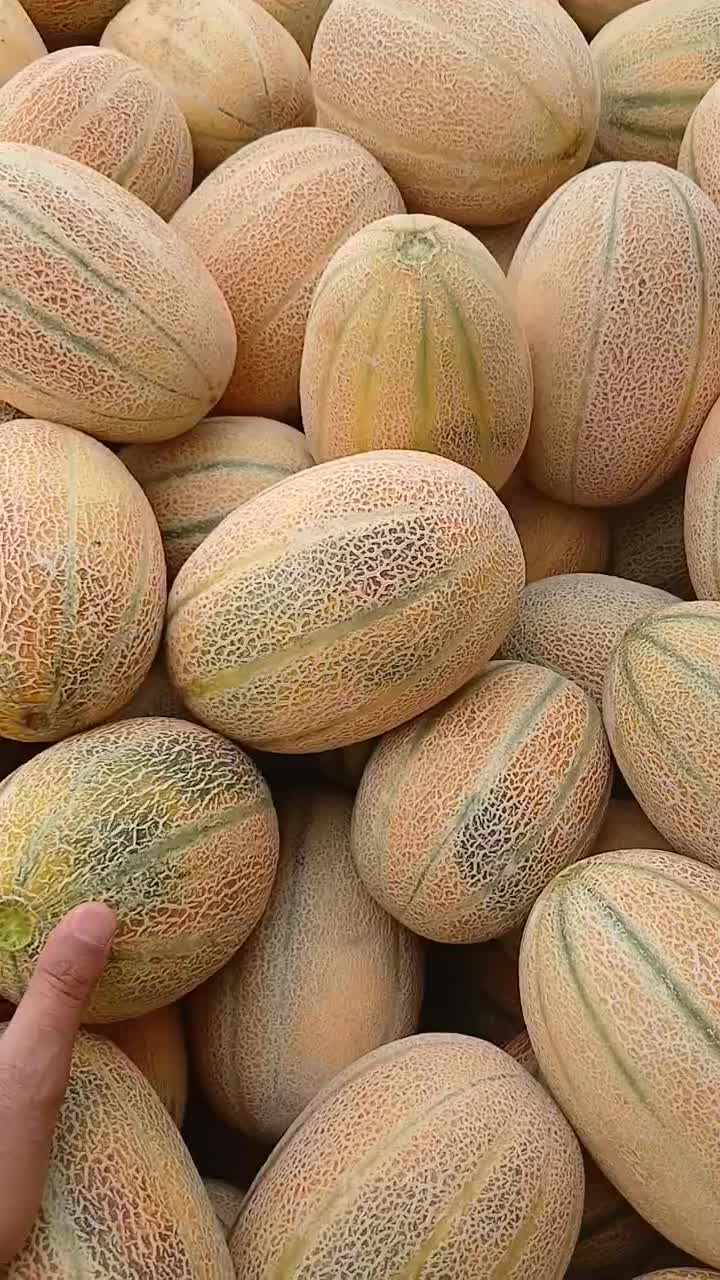 عمده|خوردنی و آشامیدنی|حسین آباد, |دیوار