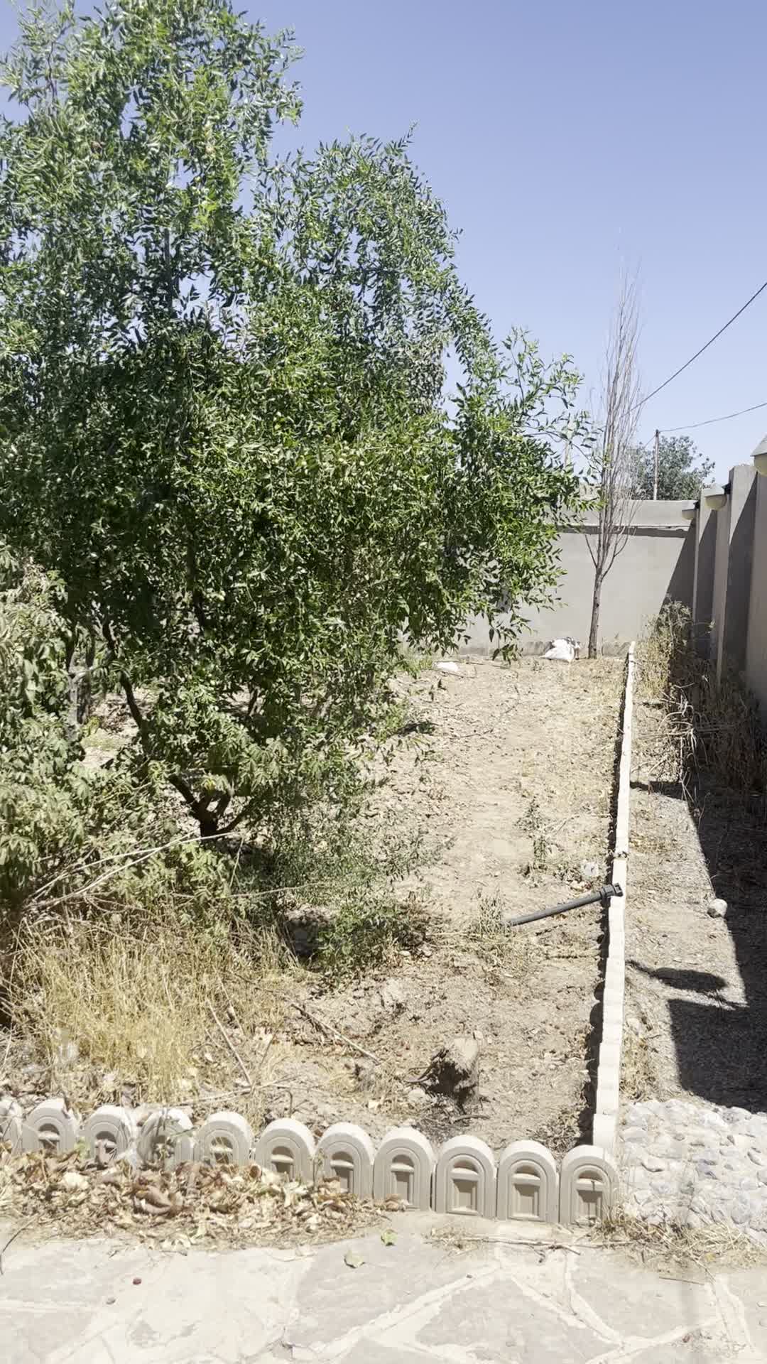 باغ ویلا میوه ۱۰۰۰ متری شاهنامه روستای گجوان|فروش خانه و ویلا|مشهد, درزآب|دیوار