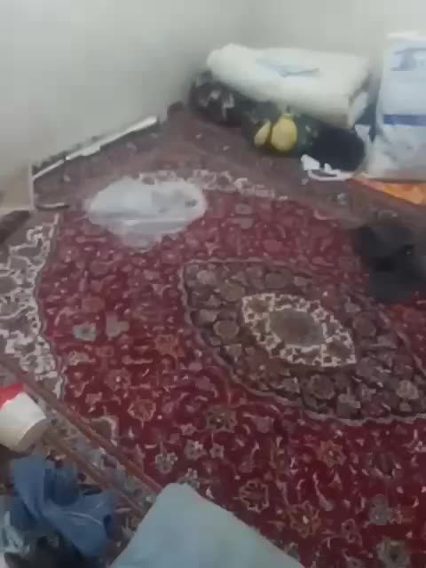 فرش فروشی|فرش|مشهد, انصار|دیوار