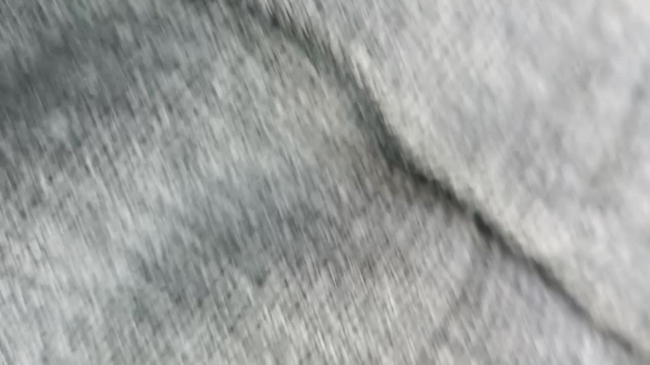 انواع سهره قناری و قفس سلطنتی پرنده های خاص|پرنده|مشهد, عنصری|دیوار