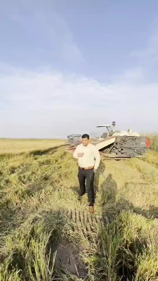 برنج عنبر بو سوپر ممتاز عطری موجود شد|خوردنی و آشامیدنی|پرند, فاز ۵|دیوار