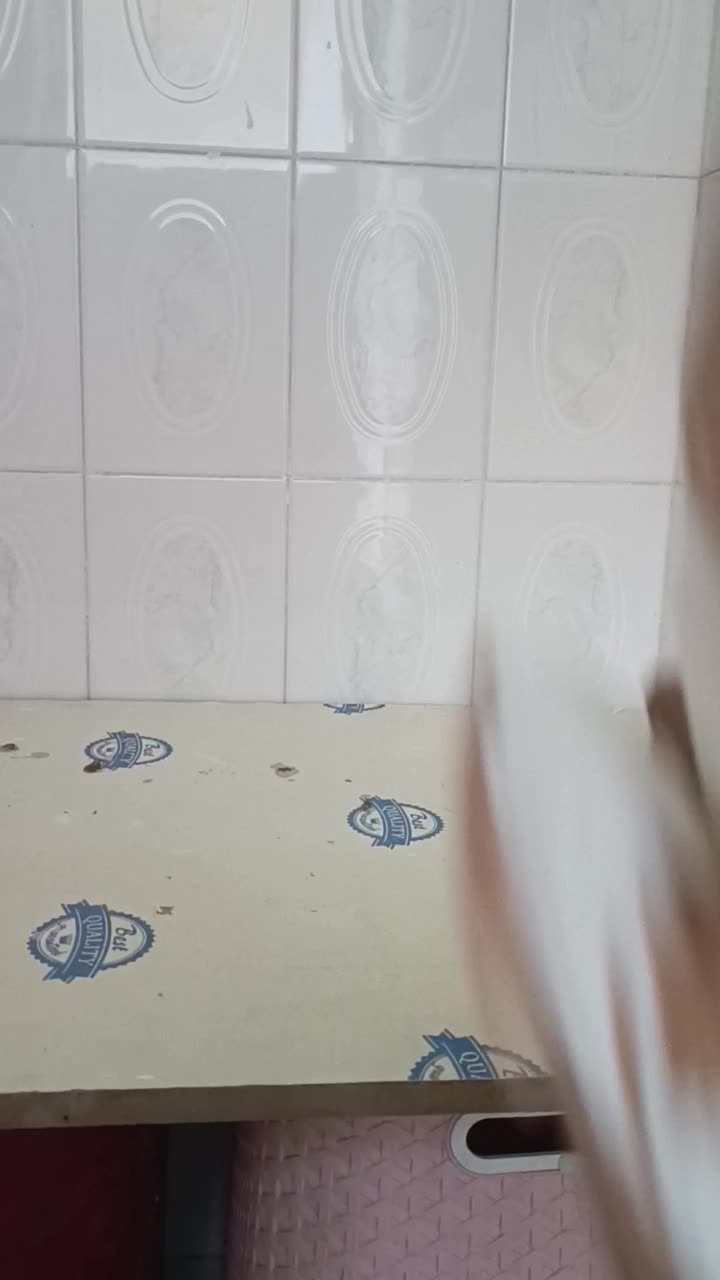 ابلغ افغانی هفت‌رنگ دم سفید کلاغ کربلایی|پرنده|مشهد, دانشجو|دیوار