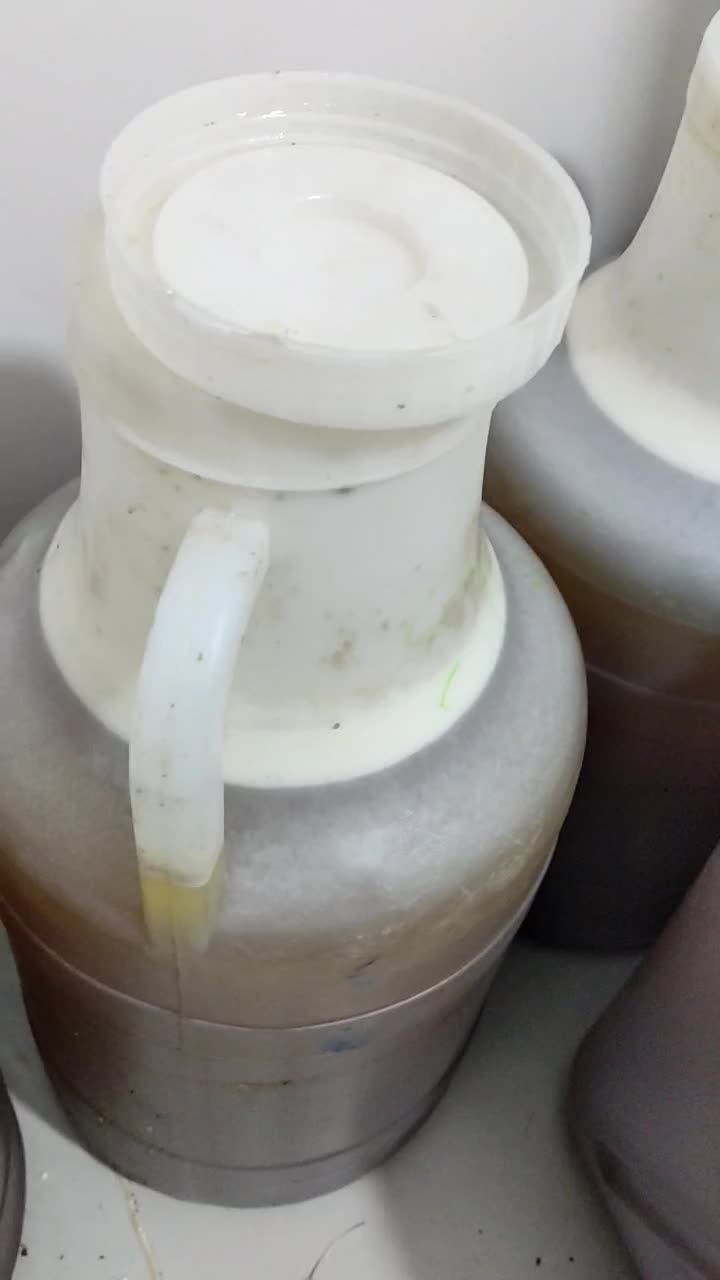 فروش عسل کنار درجه یک خالص|خوردنی و آشامیدنی|نورآباد ممسنی, |دیوار