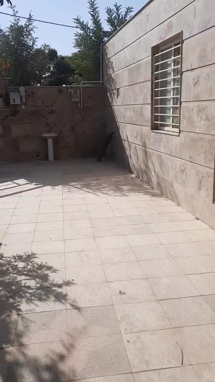 باغ ویلااستخرداربافت سنددارسهیلیه زعفرانیه اقبالیه|فروش خانه و ویلا|کرج, مهرویلا جنوبی|دیوار