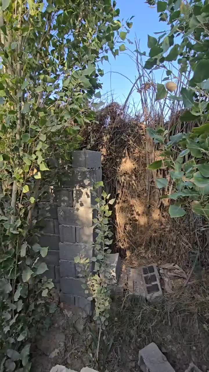 باغ ۱۰۰۰ متری ۴ دیواری|فروش خانه و ویلا|احمدآبادمستوفی, |دیوار