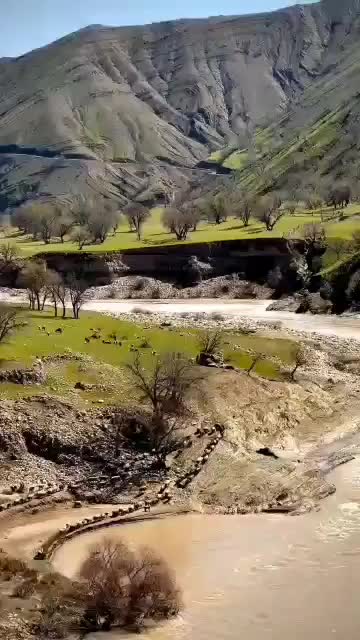 سیم|سیم‌کارت|هلیلان, |دیوار