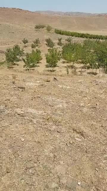 مشارکت در ساخت|مشارکت در ساخت املاک|خلجستان, |دیوار