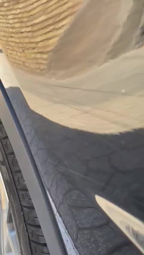 فروش فیدلیتی پرایم مدل ۱۴۰۳|خودرو سواری و وانت|یزد, |دیوار