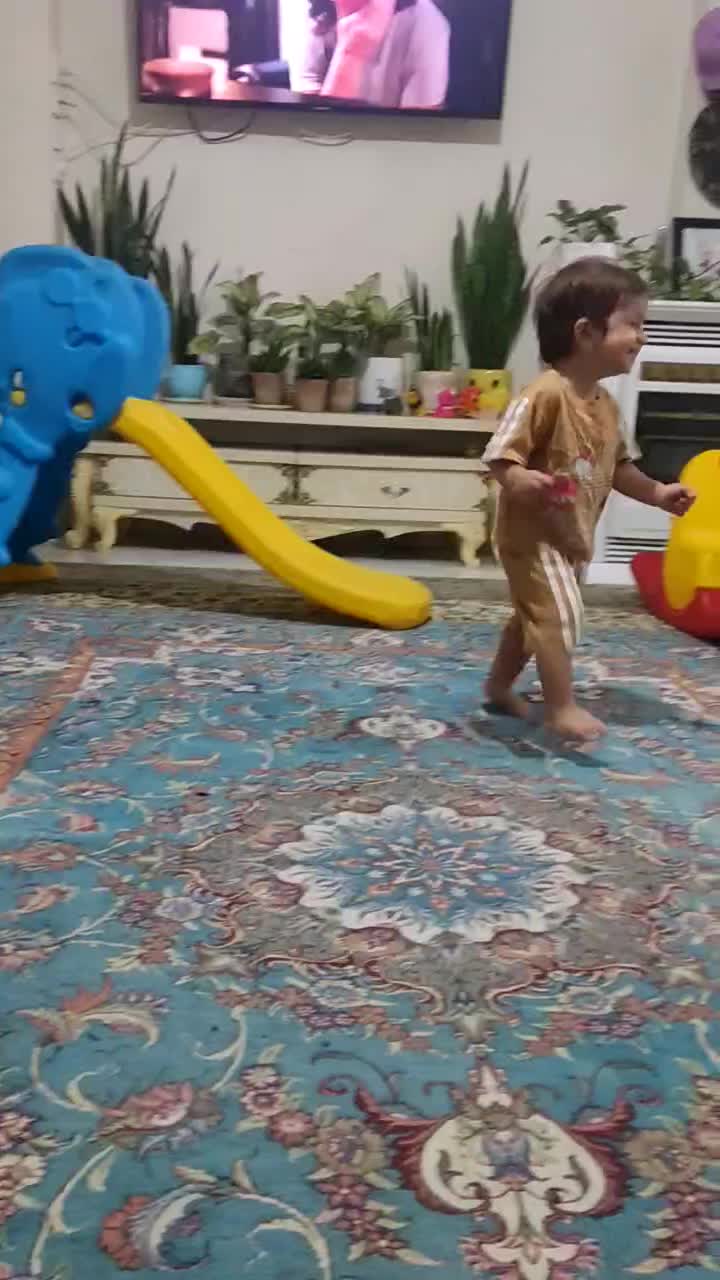 سگ  تریر|سگ|تهران, مظاهری|دیوار