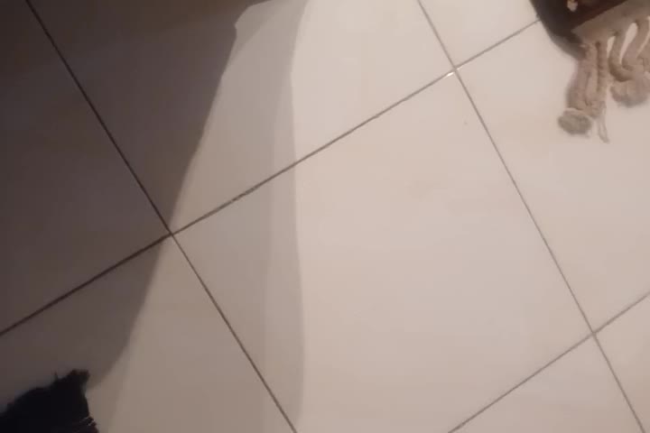 خونه آپارتمان طبقه سوم|اجارهٔ آپارتمان|فولادشهر, C1|دیوار