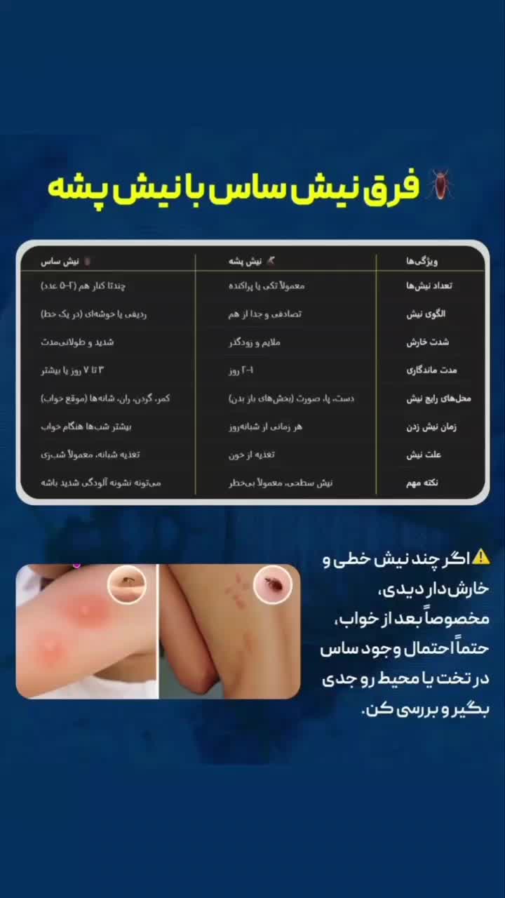 سمپاشی باضمانت ساس سوسک موش|خدمات نظافت|قدس, شهر‌قدس|دیوار