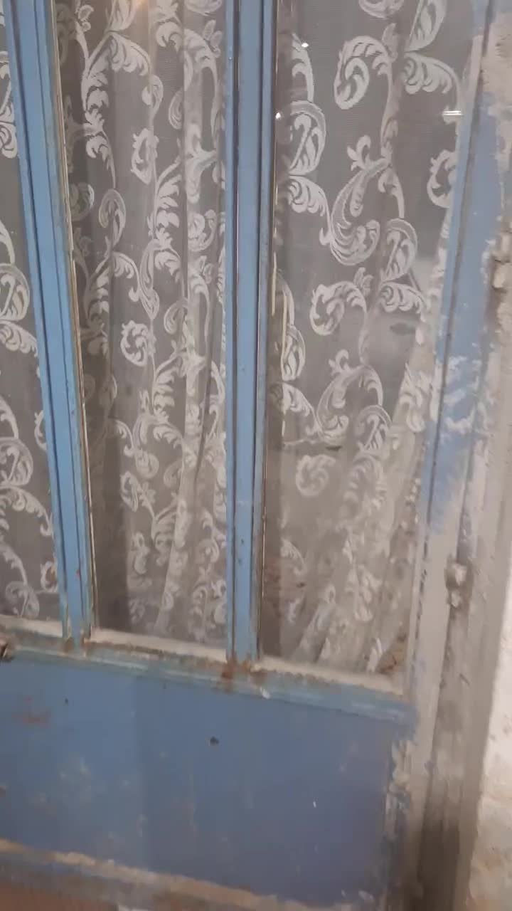 کمک.راهنمایی.  ابریشم دو رو|فرش|مشهد, سعد آباد|دیوار