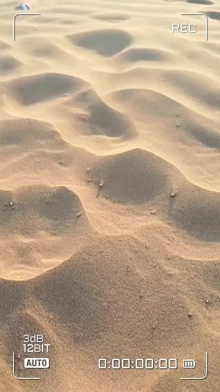 تور فولبرد کویر مصر ،کال جنی،ازمیغان|تور و چارتر|مشهد, کوثر|دیوار