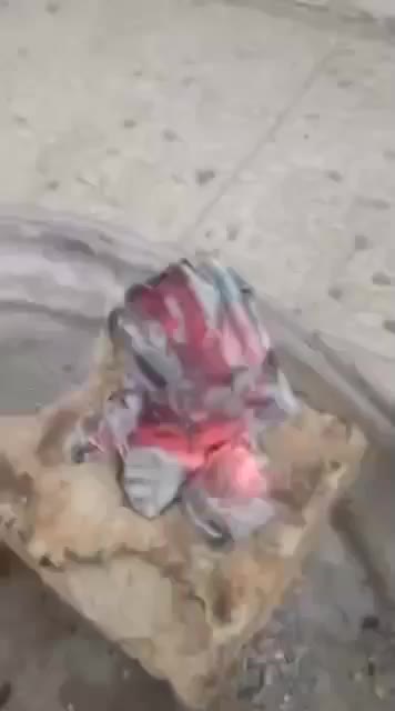 ذغال رز انگوی|عمدهفروشی|شیراز, عادل آباد|دیوار