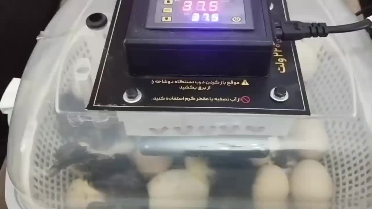 + + جوجه کشی hh دستگـاه ) standard00|لوازم جانبی حیوانات|سنندج, |دیوار