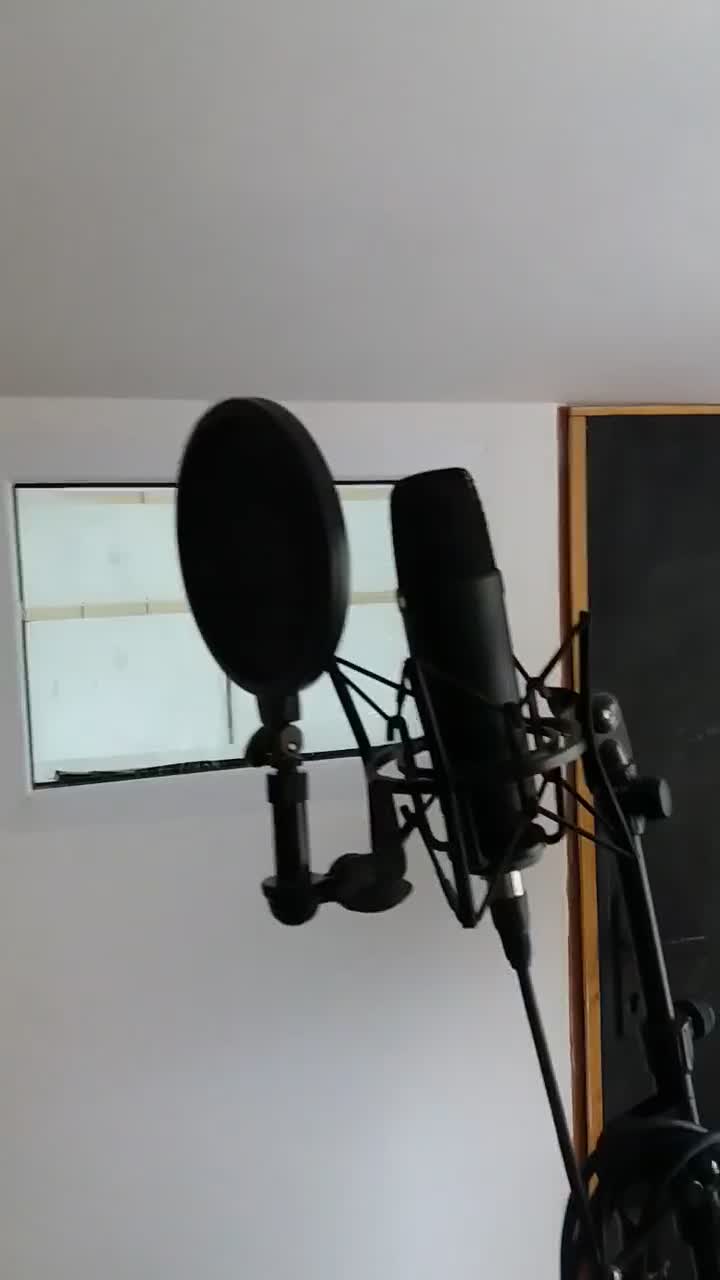 کارت صداrmeمانیتورینگhs8نویمنndh30میکروفنnt1dt770|آلات موسیقی|تهران, بازار|دیوار