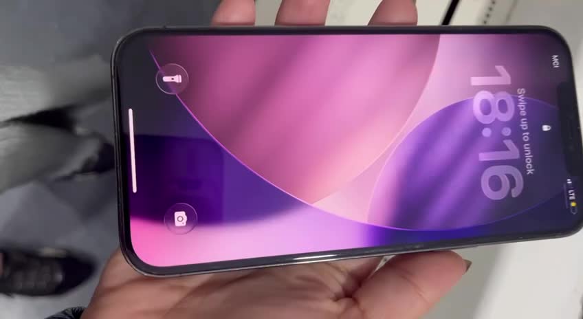 ایفون ۱۲ پرومکس|موبایل|رشت, کاکتوس|دیوار