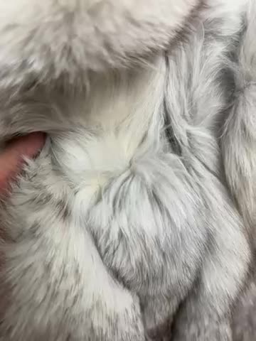 پالتو پوست|لباس|اسلامشهر, شهرک مفیدی|دیوار