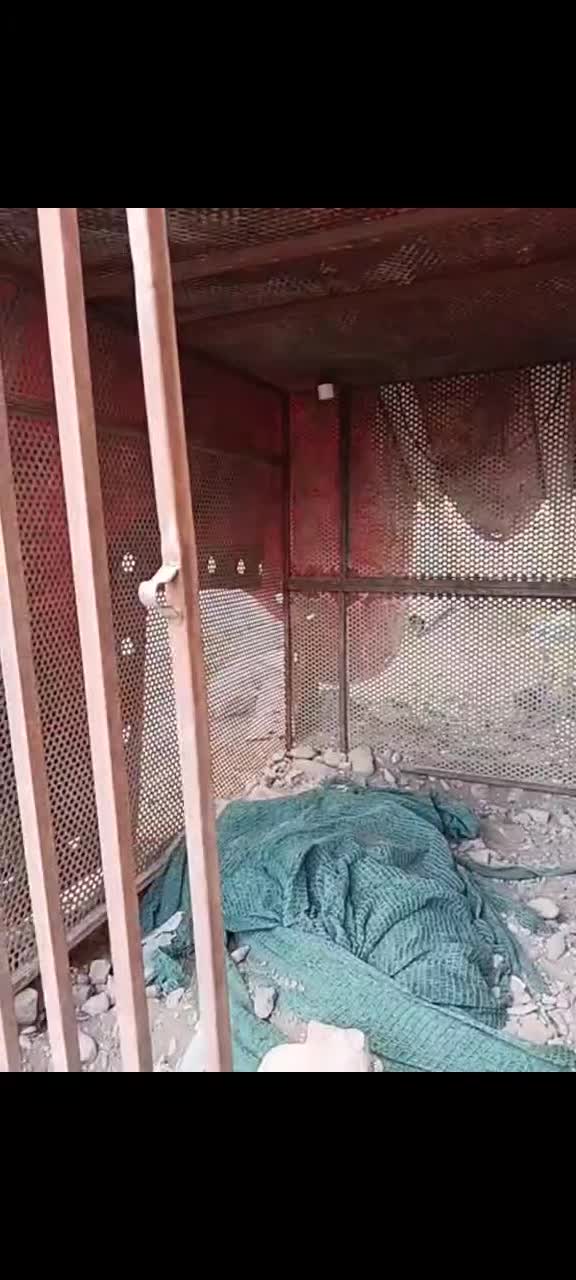 قفس  مقاوم عالی برای حیوانات اهلی و...|لوازم جانبی حیوانات|مرند, |دیوار