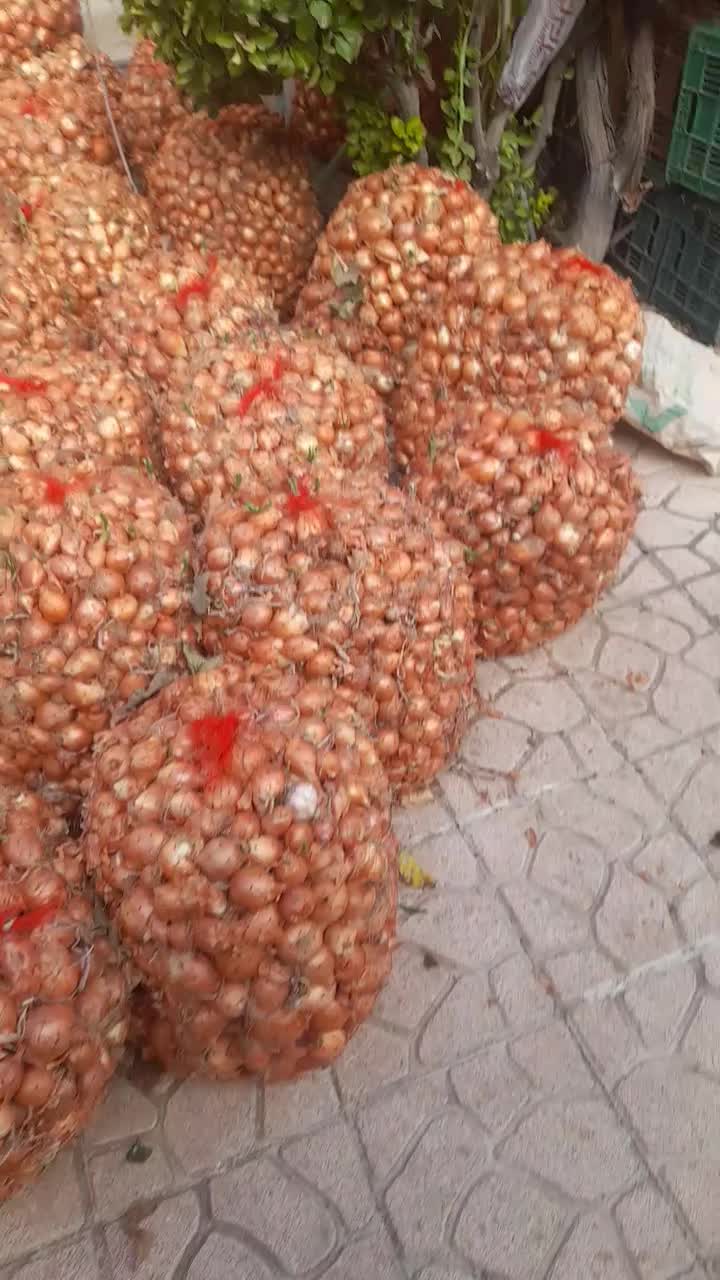 پیاز طلایی|عمدهفروشی|پارسآباد, |دیوار