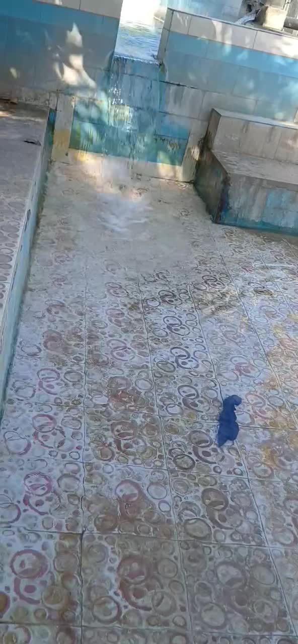 اجاره باغ شبانه روزی|اجارهٔ کوتاهمدت ویلا و باغ|میناب, |دیوار