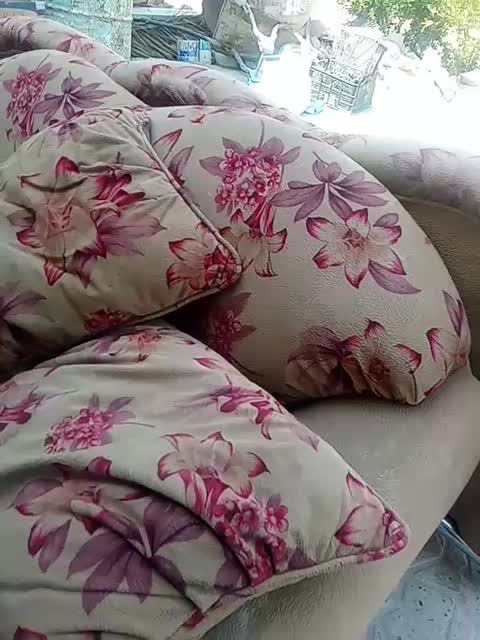 مبل|حراج|خفر, |دیوار