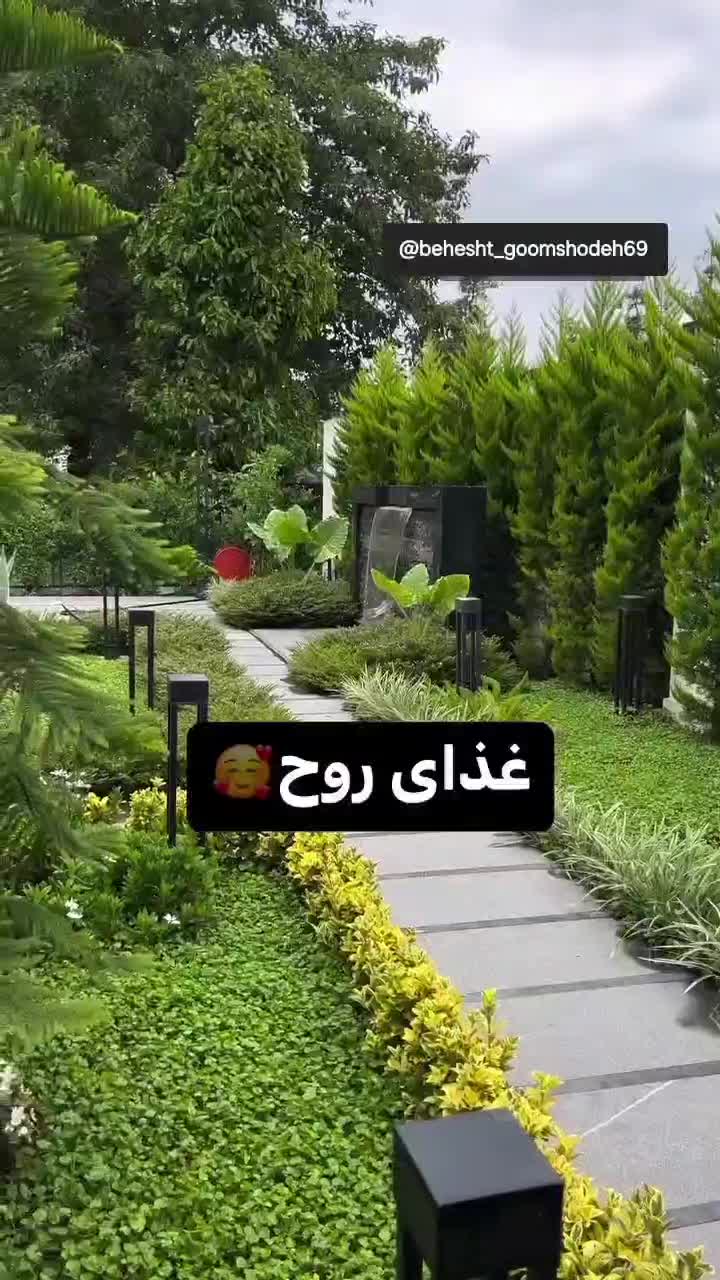 انجام کلیه کارهای باغبانی|خدمات باغبانی و درختکاری|رشت, حومه رشت|دیوار