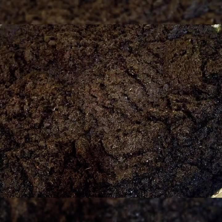 سبزی خورشتی پُرسرخ و معطر با ضمانت مرجوعی|خوردنی و آشامیدنی|قم, باسکول|دیوار