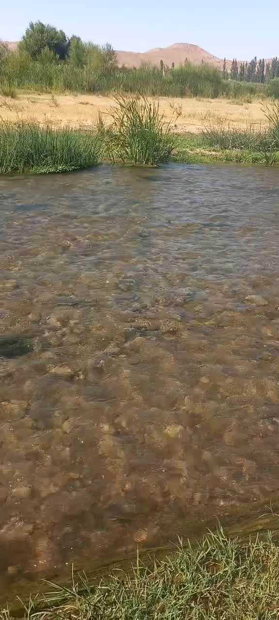 زمین چسب بافت روستا|فروش دفتر صنعتی، کشاورزی، تجاری|فیروز, |دیوار